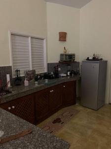 eine Küche mit einer Spüle und einem Kühlschrank in der Unterkunft Exclusiva villa ecológica en las terrenas in Las Terrenas