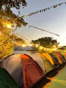 a tent sitting next to a tree with lights at Bhandardara Campthrill Adventure in Bhandardara
