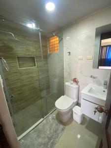 a bathroom with a shower and a toilet and a sink at Tu penthouse en torre real Vl monumental in Santiago de los Caballeros