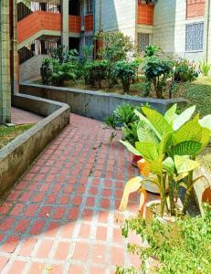 un jardín con plantas y una pasarela de ladrillo en HospedajesMED, en Medellín