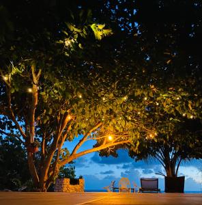 Rangiroa Beach House外面的花园