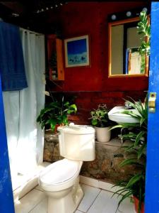 a bathroom with a toilet and two plants at La casa de arturito in Santa Lucía