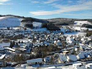 Ferienwohnung Südhang في وينتربرغ: اطلالة جوية على قرية في الثلج