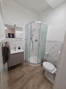 a bathroom with a shower and a toilet and a sink at Civico 71 in Florence