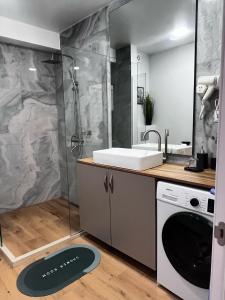 a bathroom with a sink and a washing machine at Delux apartment for 6 guest, new gudauri in Gudauri