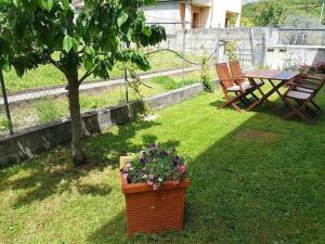 A garden outside L'arome de Ainsa