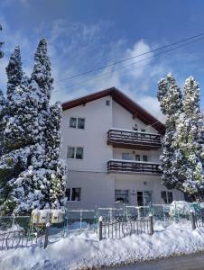 un edificio con alberi innevati di fronte ad esso di Pension Tui a Sinaia