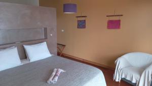 博卡斯德爾托羅的住宿－維拉食宿度假村，配有一张床和一把椅子的酒店客房