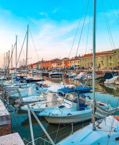 Un gruppo di barche sono ormeggiate in un porto turistico. di La Casetta di Elena a Pesaro