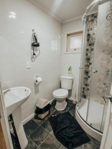a bathroom with a sink and a toilet and a shower at Departamento Kran in Punta Arenas