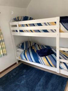 two bunk beds in a room with a blue carpet at Nutshell in Sturminster Newton