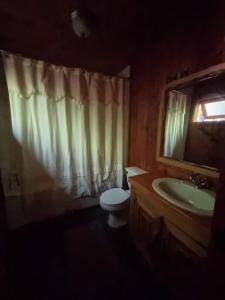 a bathroom with a toilet and a sink and a mirror at casa del Leñador Huilo Huilo in Puerto Fuy