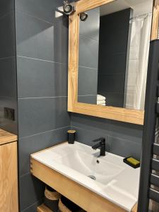 La salle de bains est pourvue d'un lavabo et d'un miroir. dans l'établissement Carnot place, à Bourgoin-Jallieu
