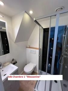 y baño con ducha, aseo y lavamanos. en Duplex sympa Verviers, en Verviers