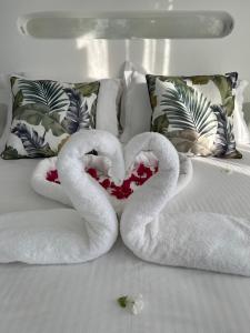 two swans making a heart on a bed at Alexandra’s studios in Irakleia