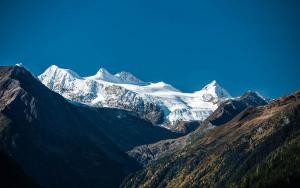 Fotografia z galérie ubytovania Landhaus Volderau v Neustift im Stubaital