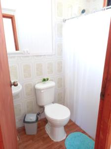 a bathroom with a white toilet and a window at Alojamiento Ximena in Coñaripe