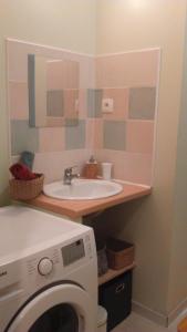 un bagno con lavandino e lavatrice di Appartement cosy de 50m2, 2 chambres avec terrasse, plein centre d'Ax-les-Thermes ad Ax-les-Thermes Altre 16 foto