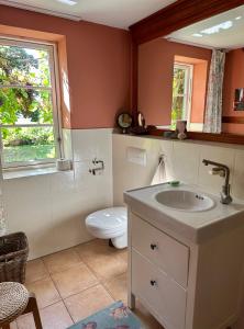 a bathroom with a sink and a toilet and a window at Mecklenbü mit Teich, Kamin, Sauna und Hotpott in Dargun