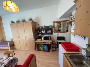 a kitchen with wooden cabinets and a sink in a room at Il nido dei gufi in Falcade