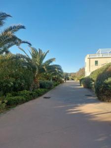 an empty road with palm trees and a building at Casa di Gina in Rosignano Solvay