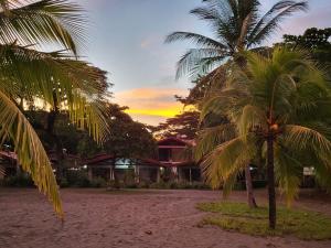 dos palmeras en la playa con una puesta de sol en el fondo en Agua Dulce Beach Resort, en Puerto Jiménez