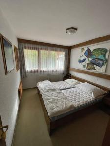 1 dormitorio con cama y ventana en Apartment Eva - Hinterthal, en Hinterthal