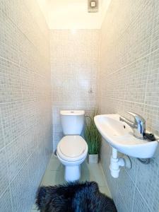 a bathroom with a toilet and a sink at Chata pri jazere Nitrianske Rudno in Nitrianske Rudno