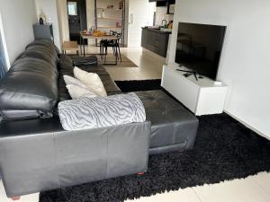 a leather couch in a living room with a television at Apartamento na Montanha em Campos in Campos do Jordão