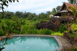 Bazén v ubytování Bali Lush nebo v jeho okolí