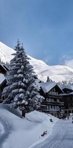 un pino ricoperto di neve di fronte a un edificio di Imhof Alpine B&B Apartments a Bettmeralp