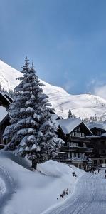 Imhof Alpine B&B Apartments durante el invierno