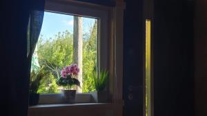 una finestra con una pianta in vaso su un davanzale di Wellness-Beskydy a Prostřední Bečva