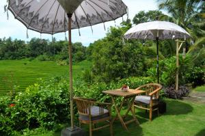 Zahrada ubytování Bali Lush