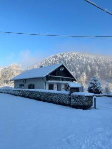 a house covered in snow with a mountain in the background at Holiday Home Došen in Vrbovsko