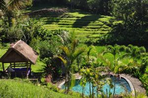 Zahrada ubytování Bali Lush