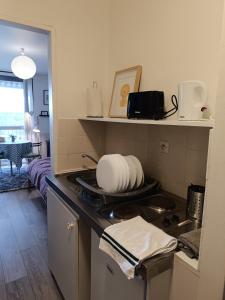 eine Küche mit einer Spüle und einer Arbeitsplatte in der Unterkunft Les-Hauts-de-Montrichard-Nid douillet ! in Montrichard