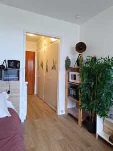 ein Zimmer mit einem Bett und einer Pflanze darin in der Unterkunft Les-Hauts-de-Montrichard-Nid douillet ! in Montrichard