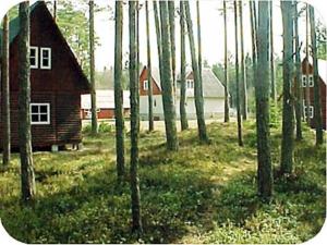 Gallery image of Roosi Camping Houses in Rannaküla
