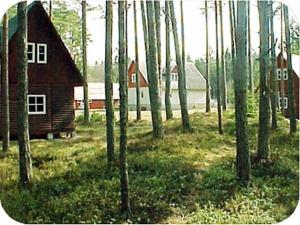 a cabin in the middle of a forest of trees at Roosi Camping Houses in Rannaküla