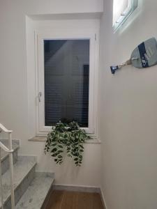 Foto de la galeria de Affittacamere Il Timone a Corniglia