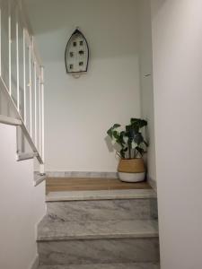eine Treppe mit einer Pflanze und einer Uhr an der Wand in der Unterkunft Affittacamere Il Timone in Corniglia
