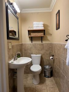 uma casa de banho com um WC, um lavatório e um espelho. em The Mount Vernon Inn em Mount Vernon