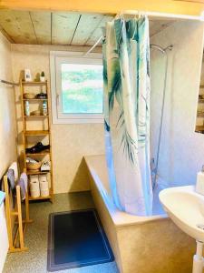 a small bathroom with a shower and a sink at Cozy Apartment in Vintage House in Kandersteg in Kandersteg