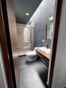 een badkamer met een toilet, een wastafel en een spiegel bij Casa entera Morelia, hospitales, corporativos 1 in Atapaneo