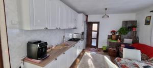 Galeriebild der Unterkunft Pensiunea Casa Mădă in Baia de Fier