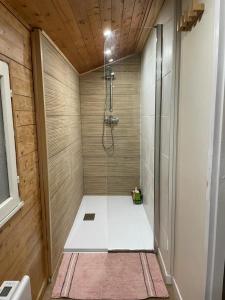 y baño con ducha y puerta de cristal. en Maison familiale en bois avec piscine, proche du bassin en Gujan-Mestras