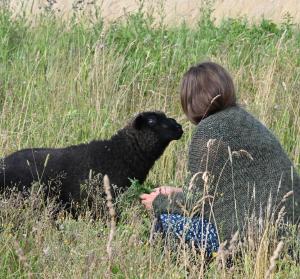 a young child sitting in a field with a lamb at Autarker Schäferwagen mit Kamin ganzjährig nutzbar in Dargun +17 photos