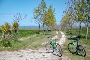 two bikes are parked on a dirt road at Villa Marianna in Vasto