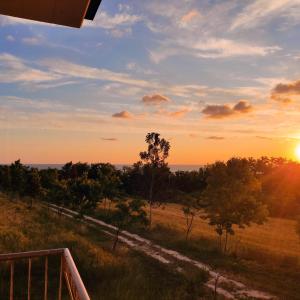 a sunset over a field with trees and the ocean at Villa Marianna in Vasto